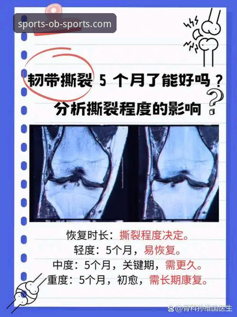 欧宝体育手机版下载官方下载 揭秘瑞典新星贝里瓦尔:手术后韧带断裂仍奋战,世界杯梦想背后你不知道的事